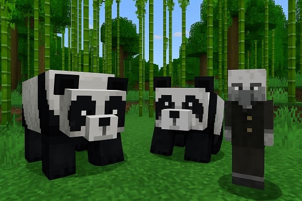 Los pandas tienen personalidades únicas