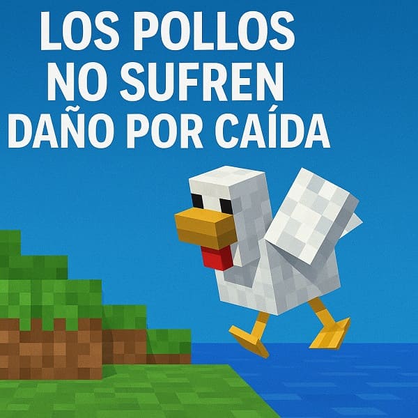 Los pollos no sufren daño por caída